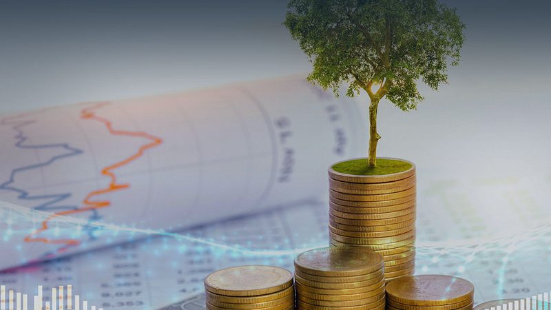 电商企业体系认证标准：构建合规与高效运营的基石